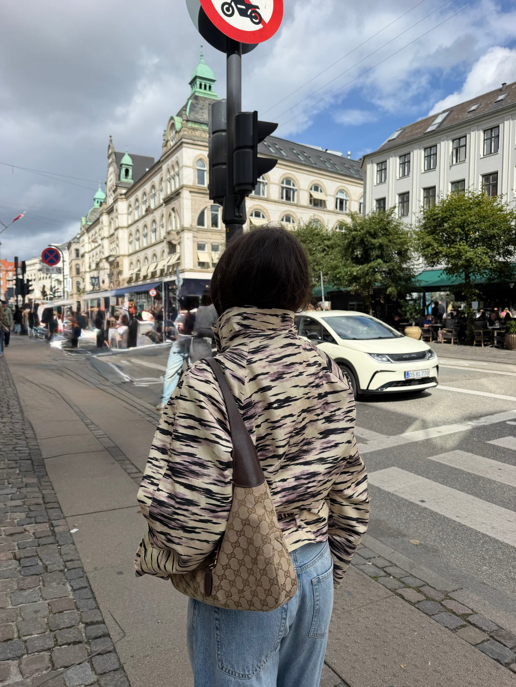 Tiger | Gabardina