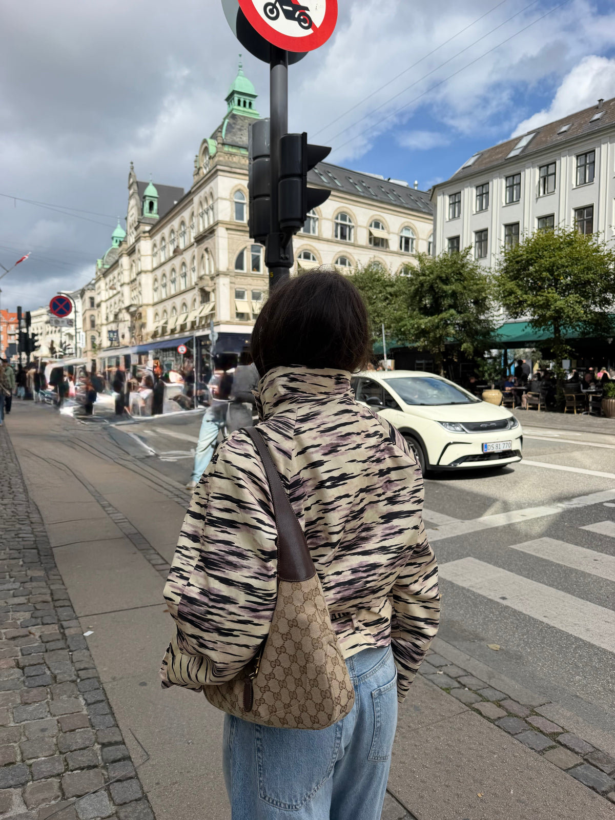 Tiger | Gabardina